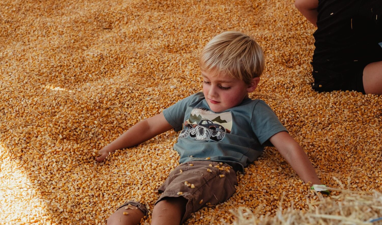 Orchard Game Zone Corn Pit playing
