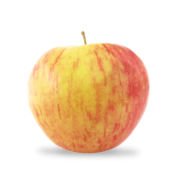 Honeycrisp apple
