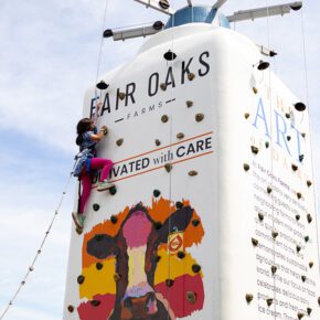 A child on a climbing wall
