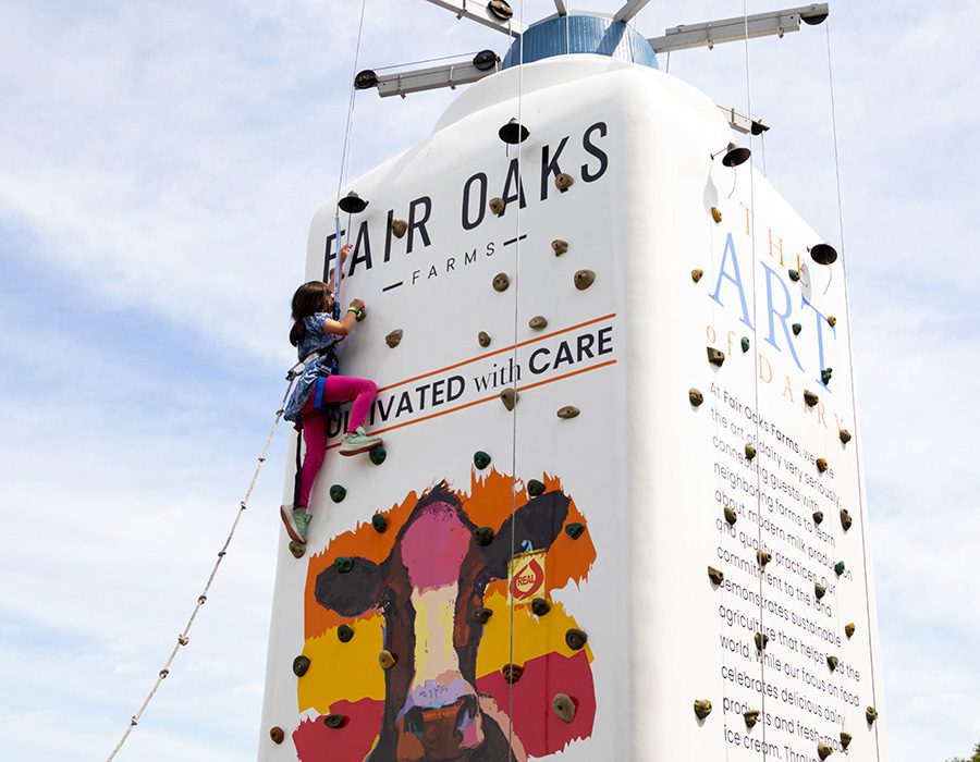 A child on a climbing wall