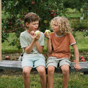 Two children eating apples